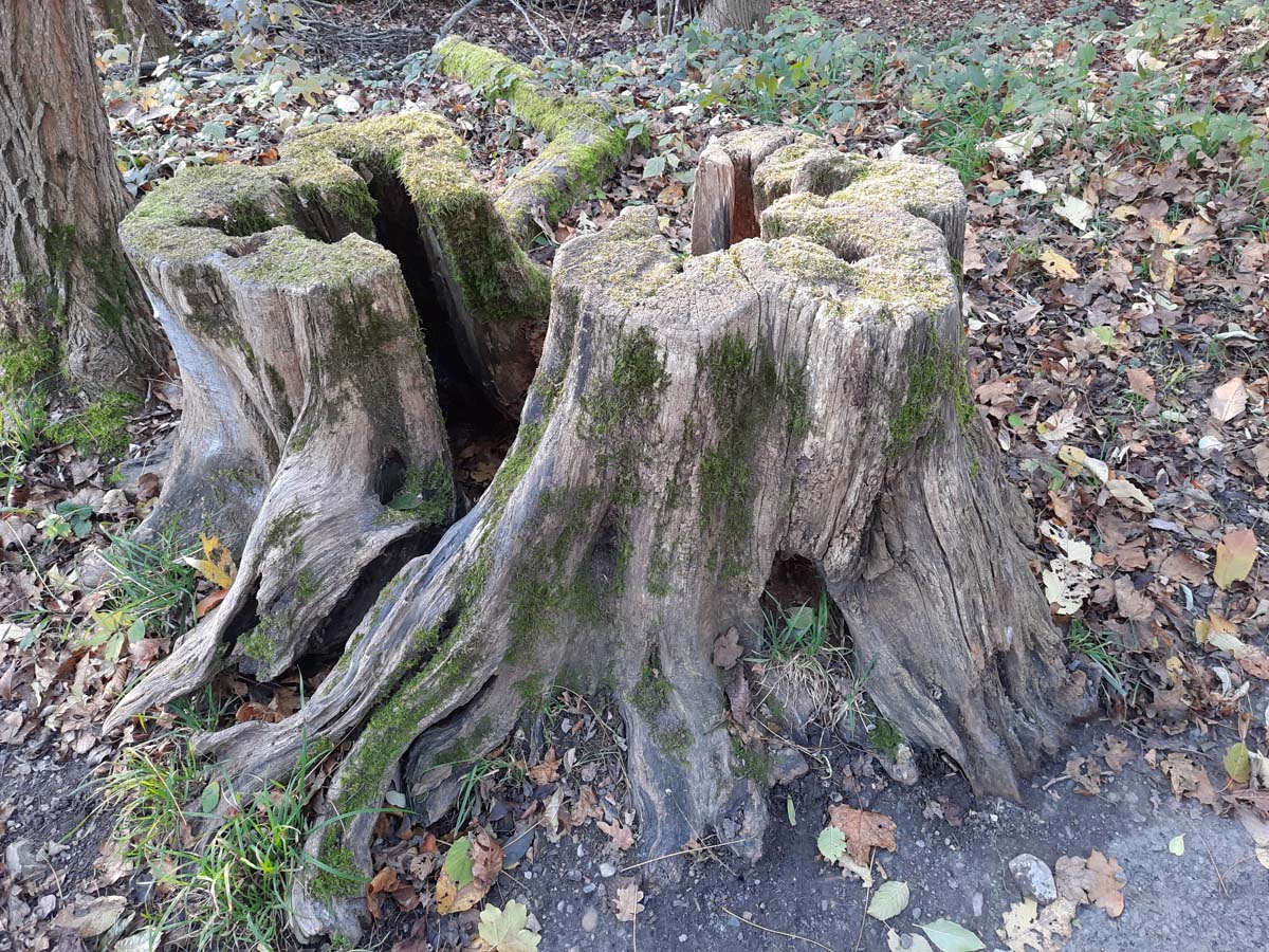 stillstand
