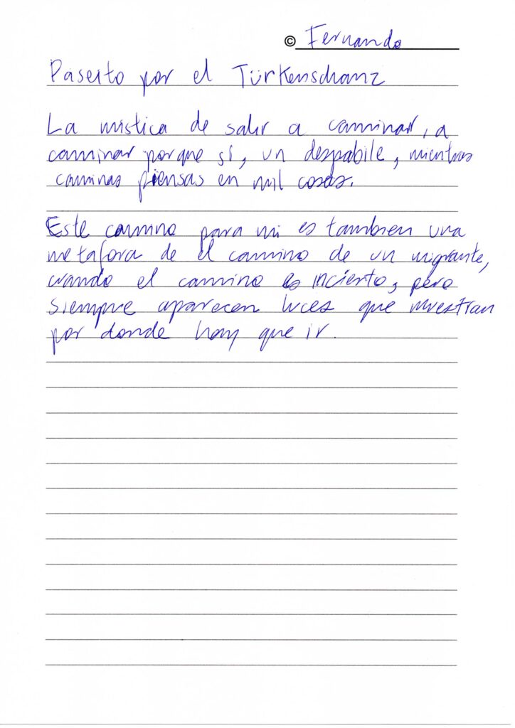 © 2024 Fernando Arguetta