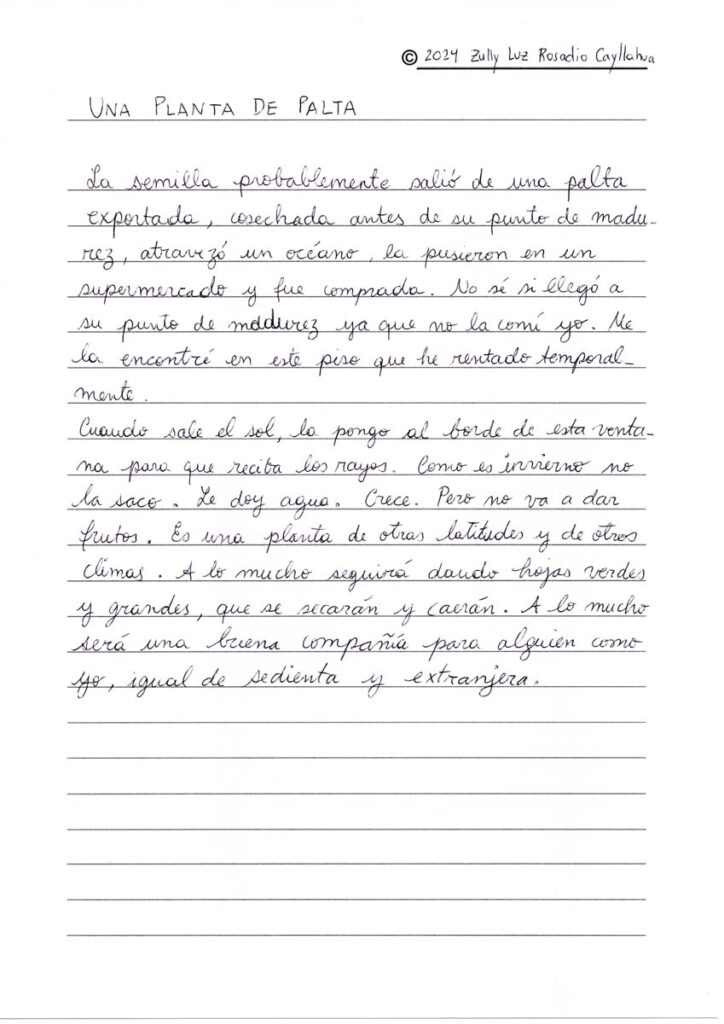 © 2024 Zully Luz Rosadio Cayllahua