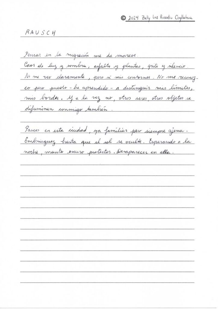 © 2024 Zully Luz Rosadio Cayllahua